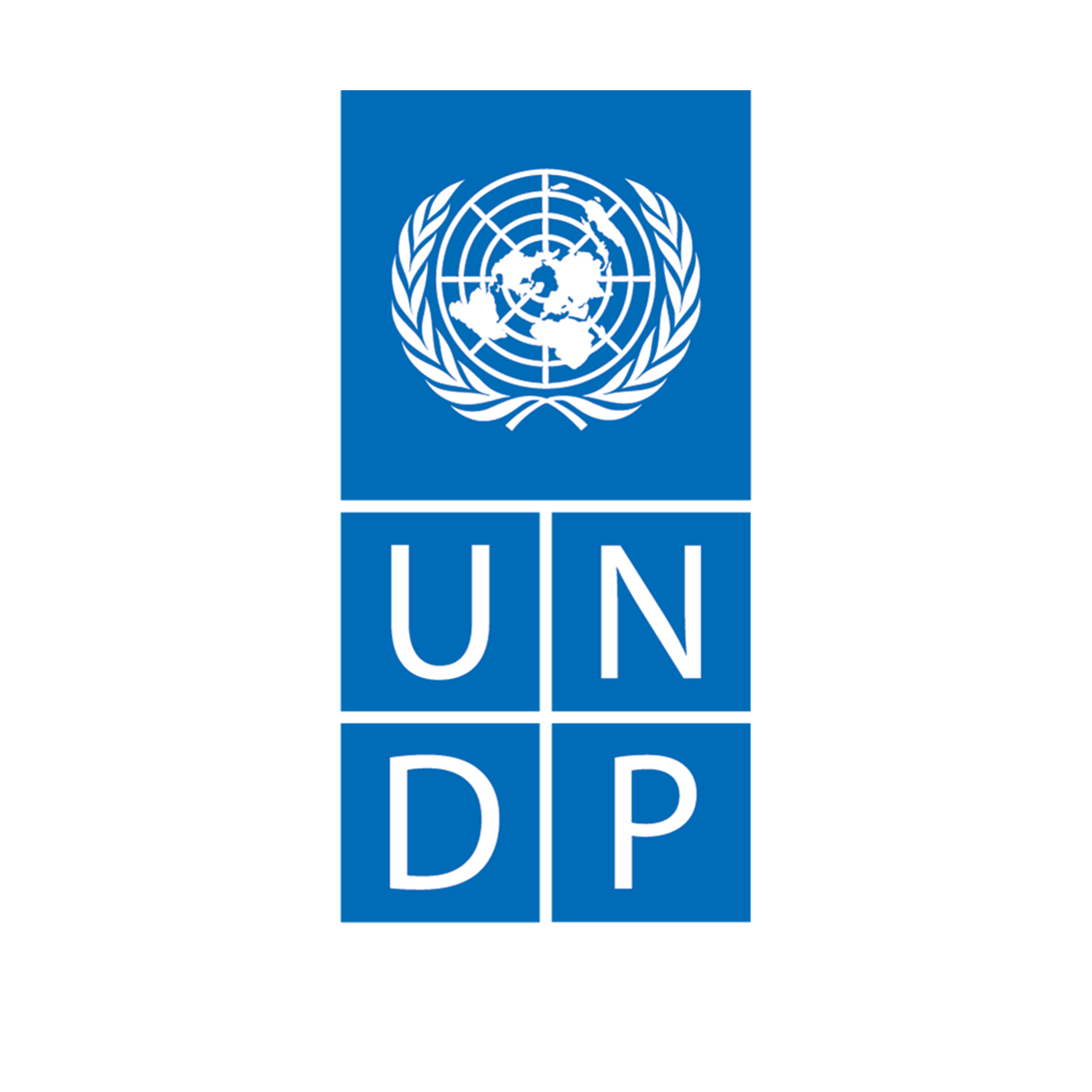 PNUD Logo